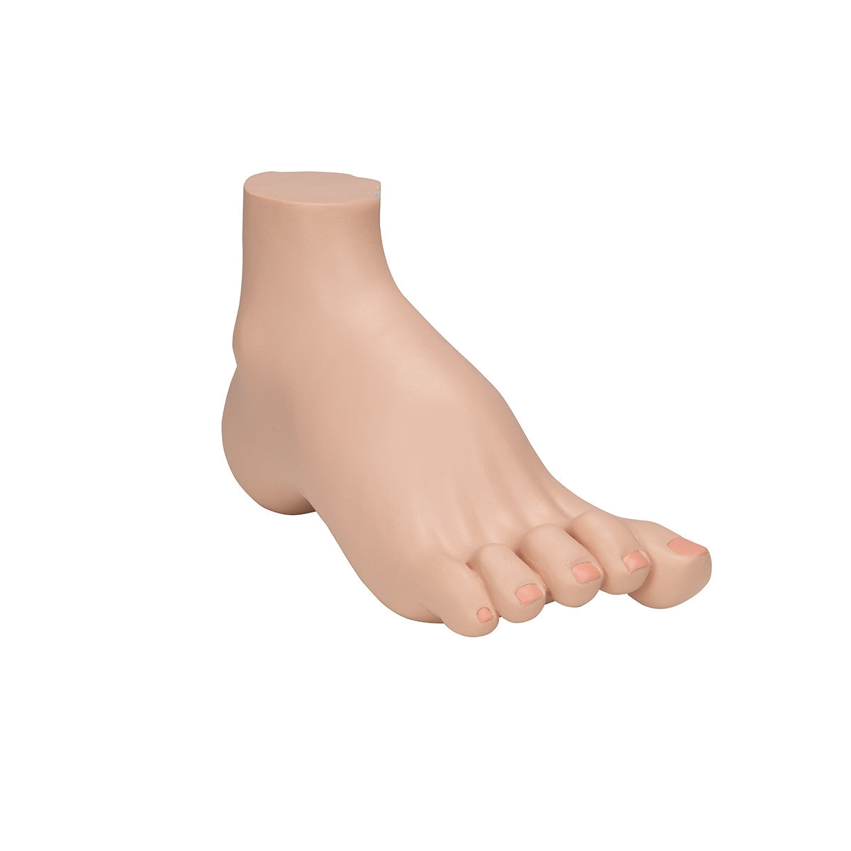 Hollow Foot Model (Pes Cavus)