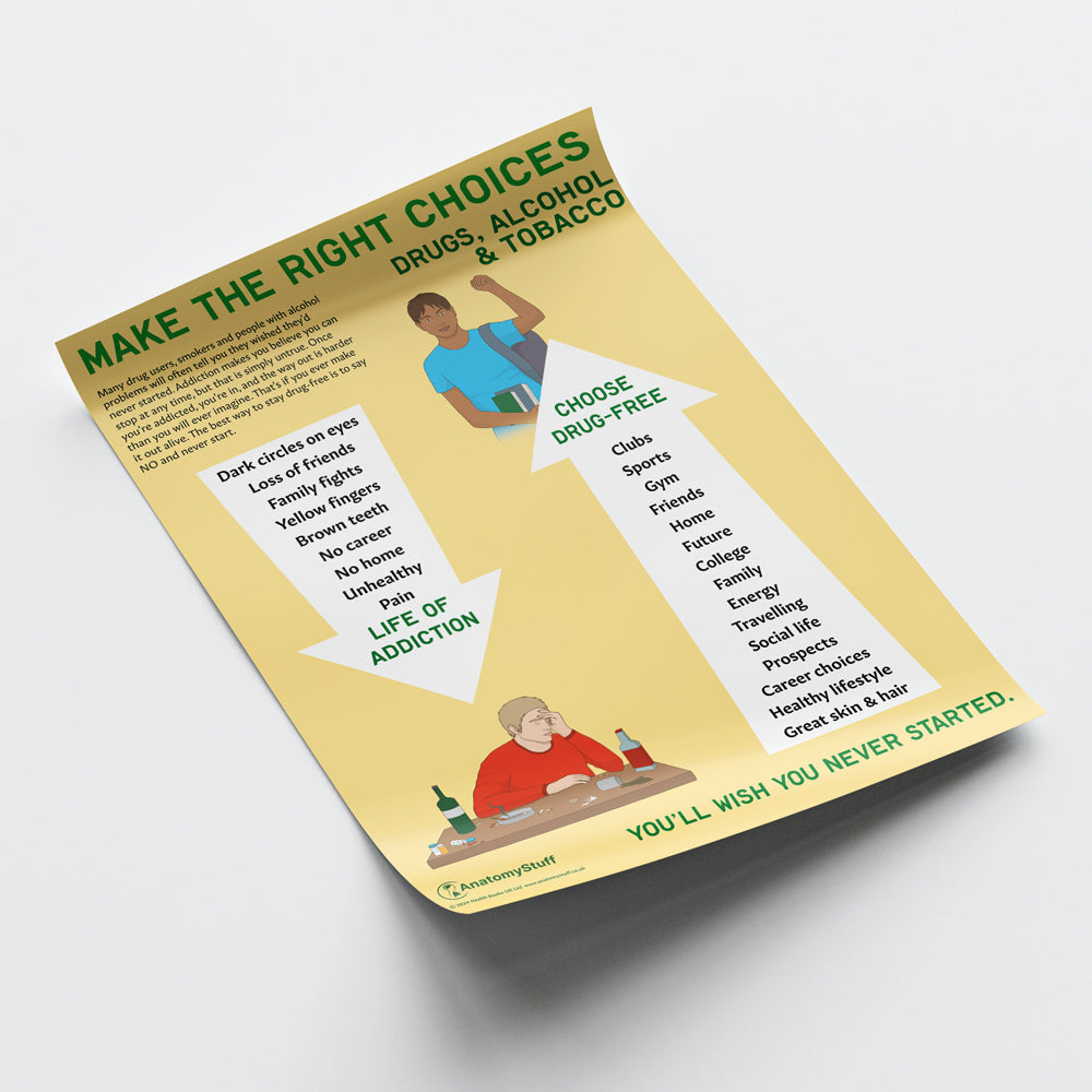Make the Right Choices Chart / Poster - Part of Collection