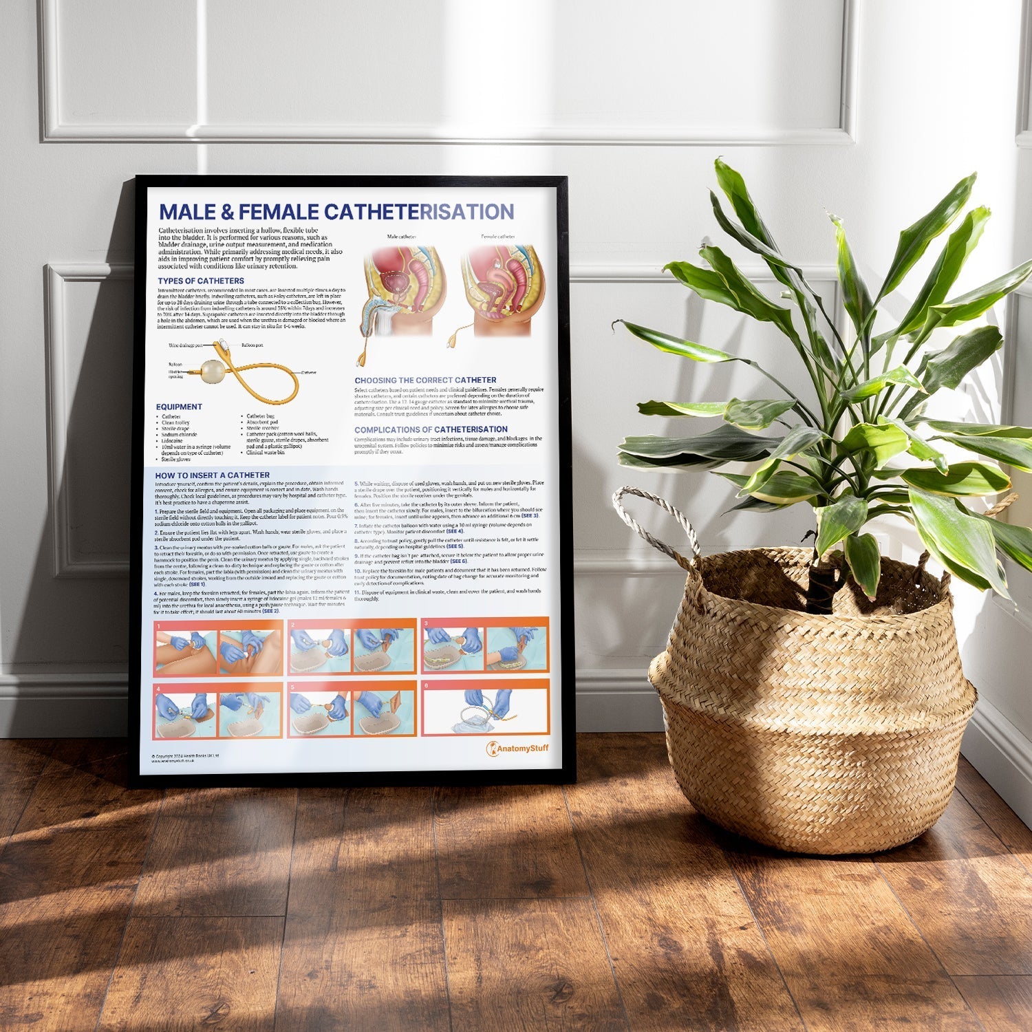 Male and Female Catheterisation Chart / Poster - Part of Collection