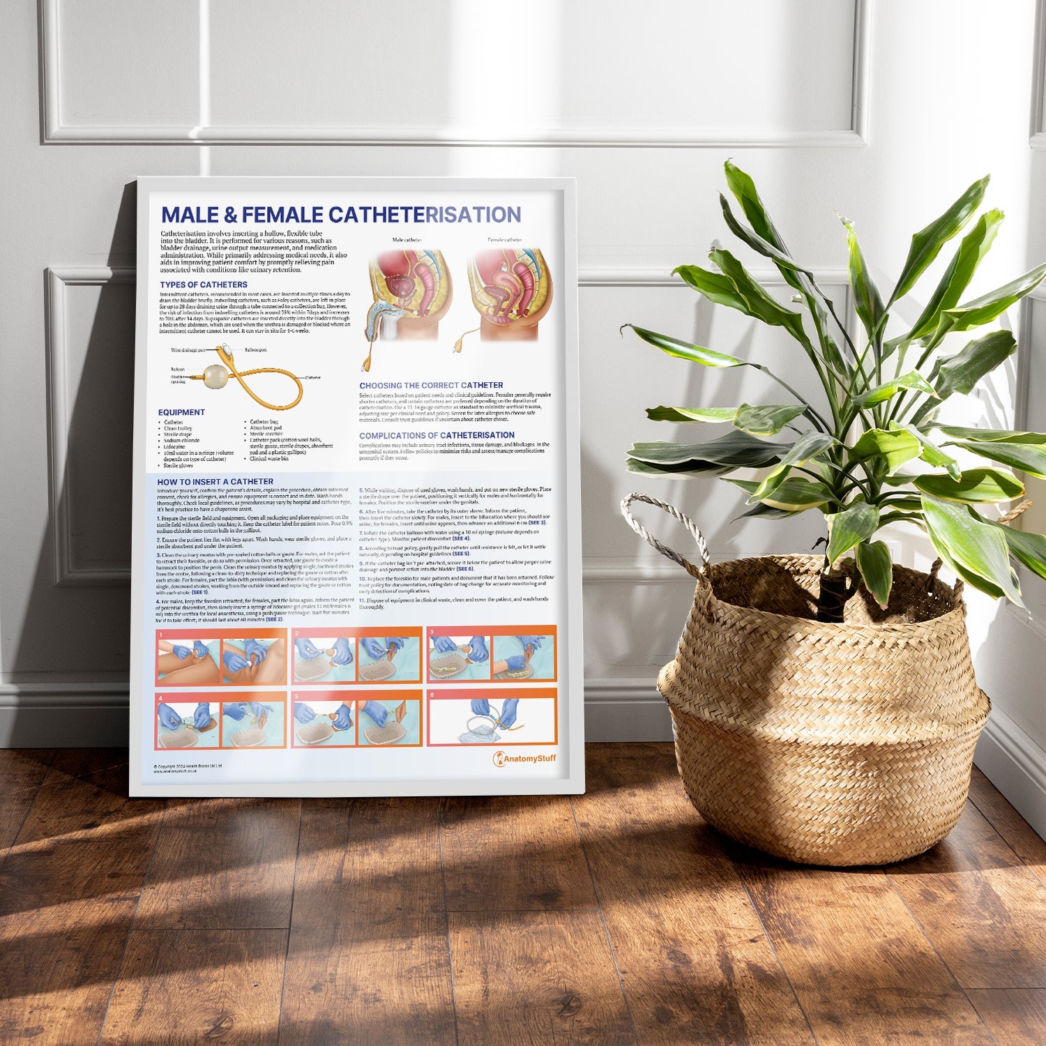 Male and Female Catheterisation Chart / Poster