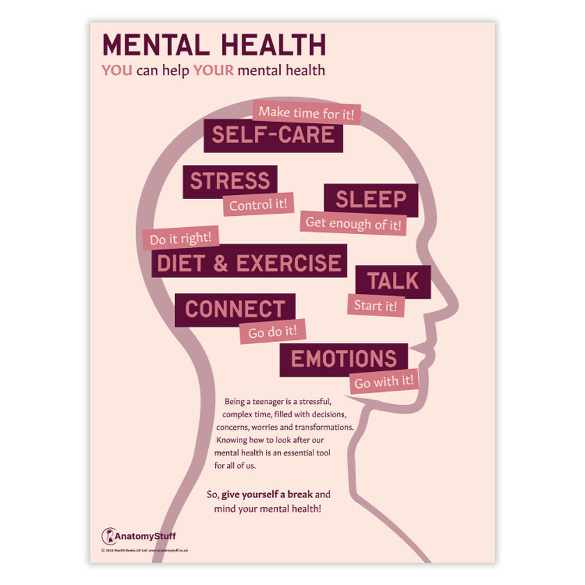 Mental Health: You Can Help Your Mental Health Chart / Poster