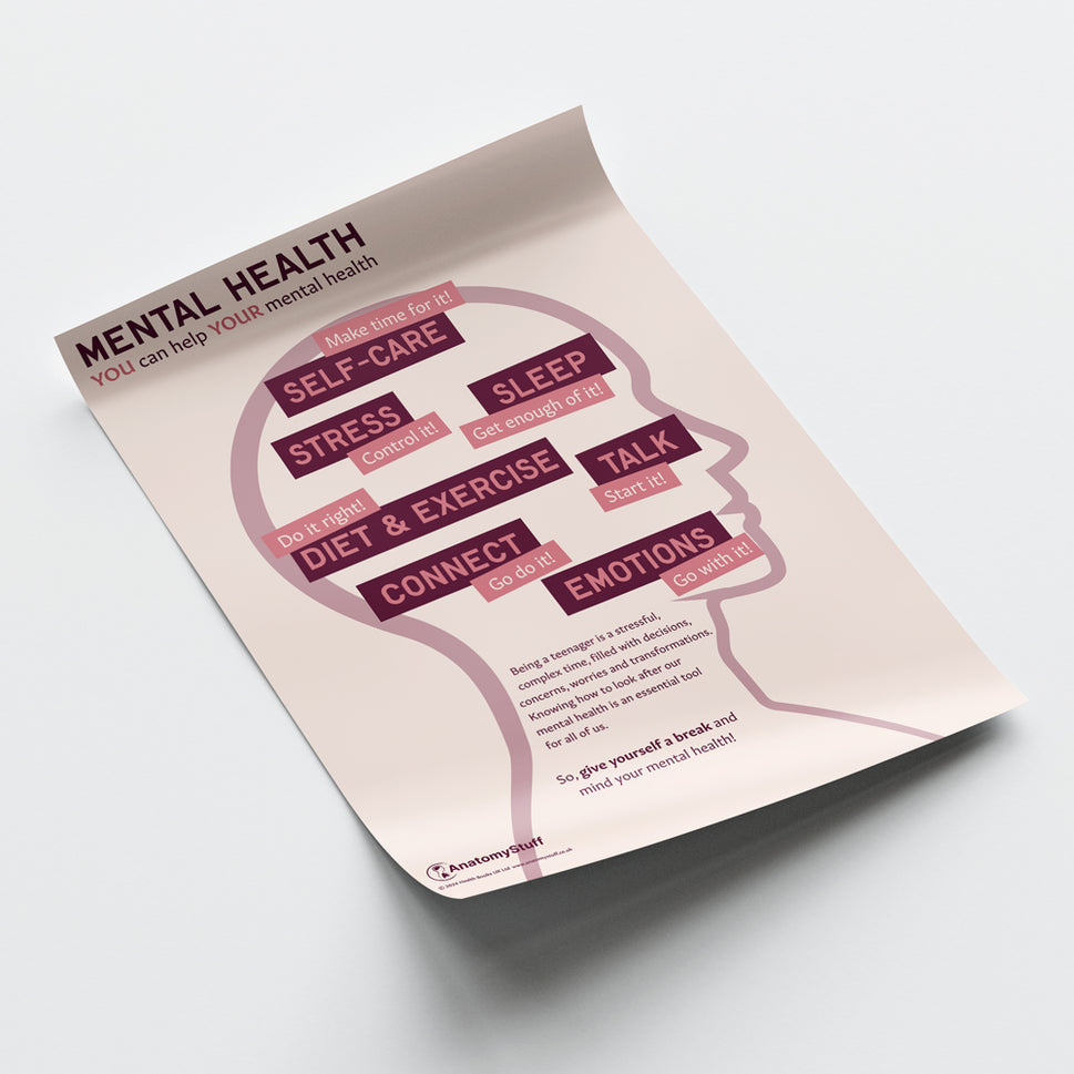 Mental Health: You Can Help Your Mental Health Chart / Poster