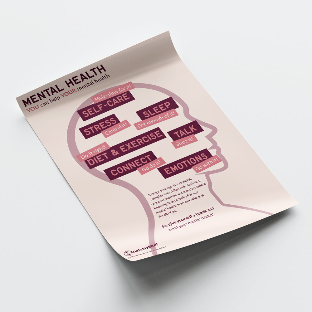 Mental Health: You Can Help Your Mental Health Chart / Poster - Part of Collection