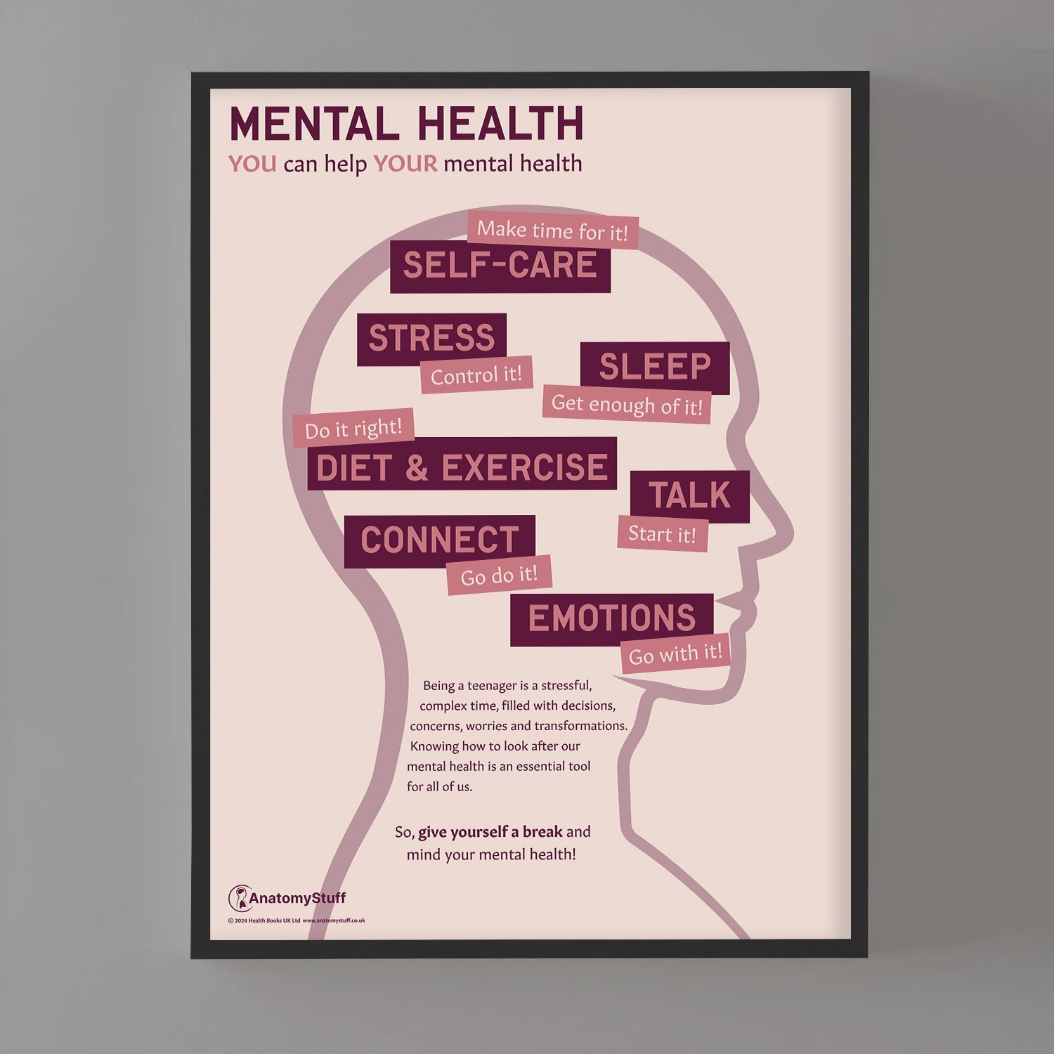 Mental Health: You Can Help Your Mental Health Chart / Poster - Part of Collection