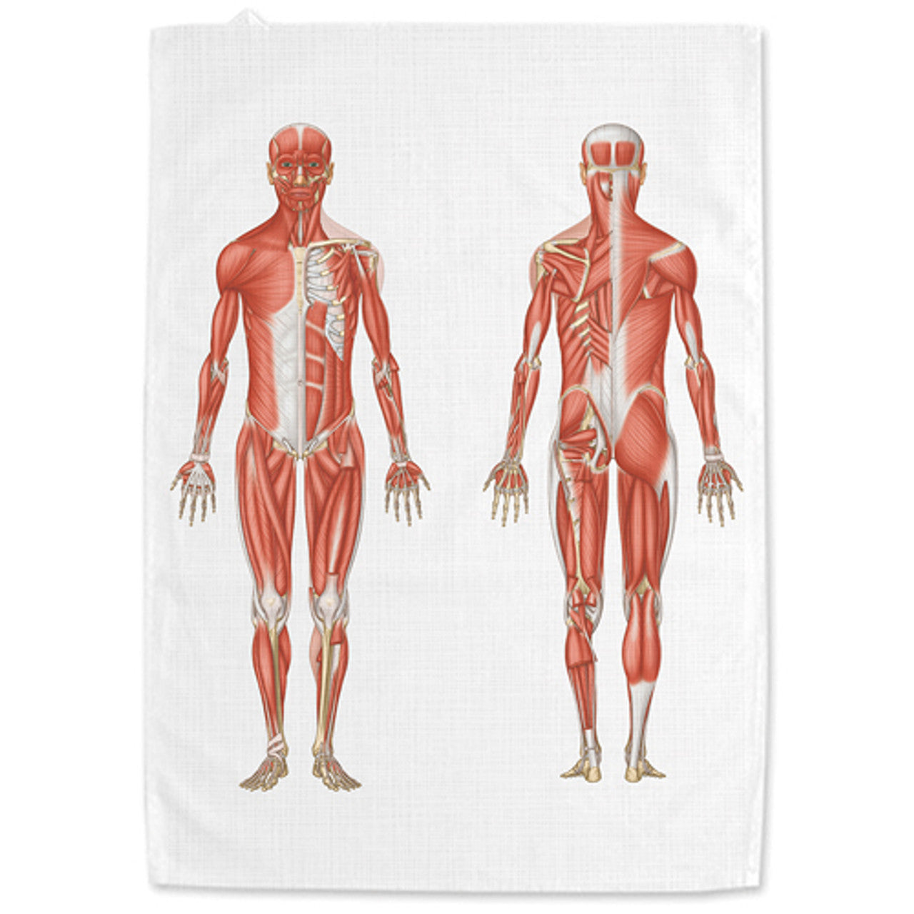 Medical Student Wellbeing and Self Care Bundle