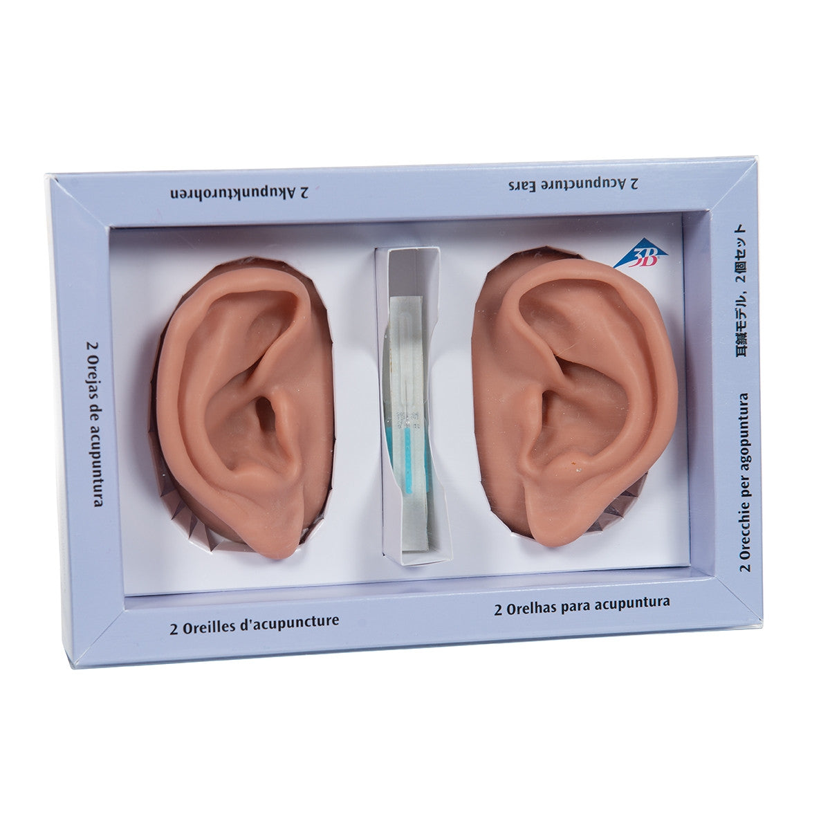 Acupuncture Ear Model Set (2 part)