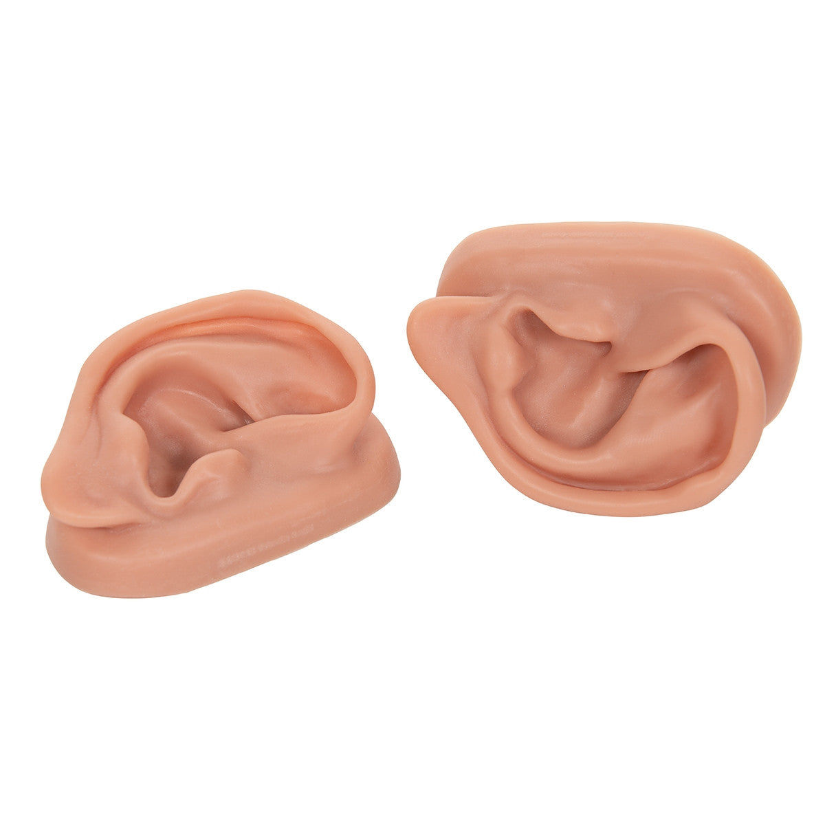 Acupuncture Ear Model Set (2 part)