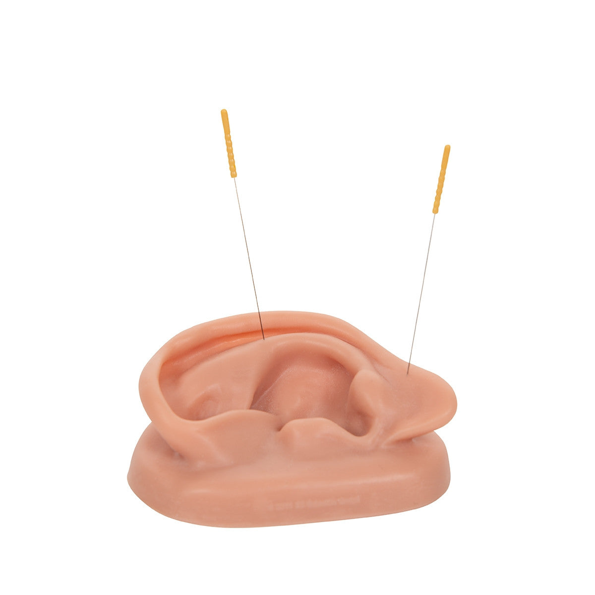 Acupuncture Ear Model Set (2 part)