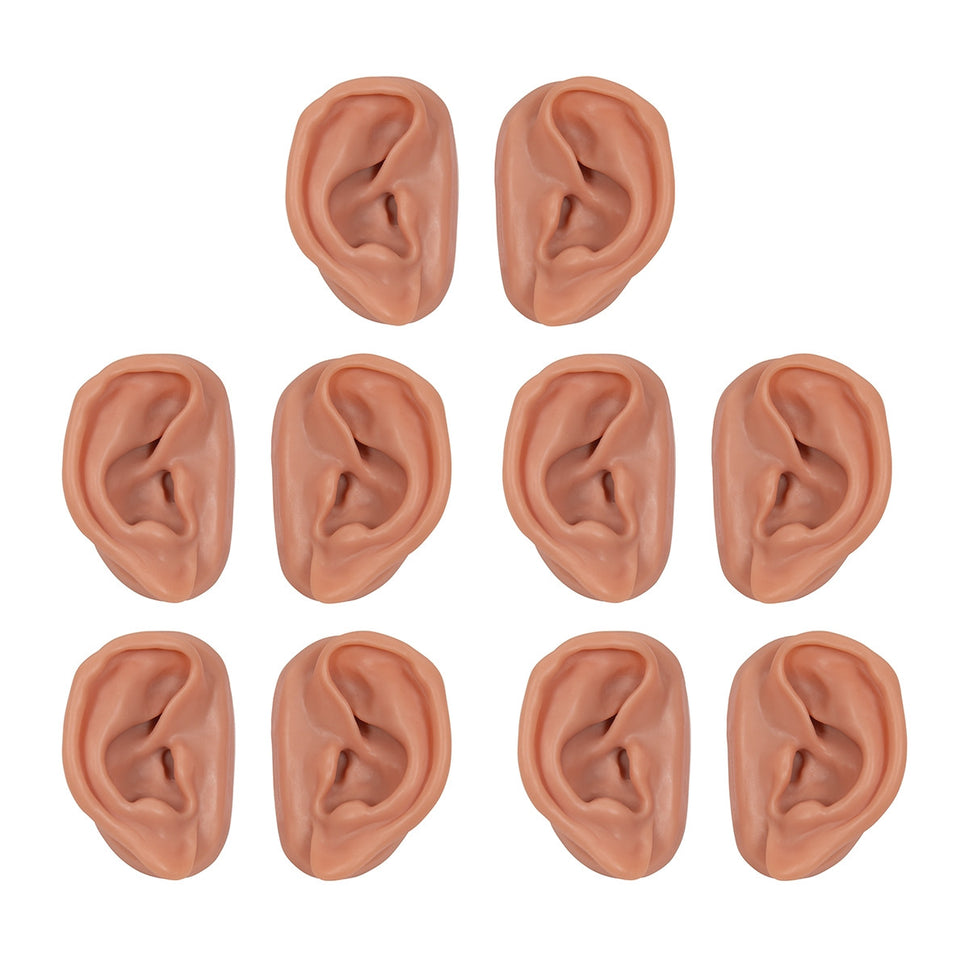 Acupuncture Ears (Pack of 10)