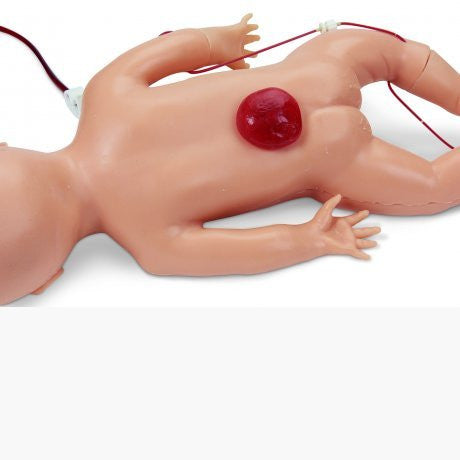 Newborn Nursing Skills and ALS Simulator