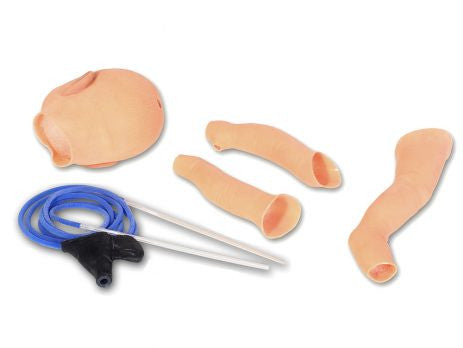 Skin and Vein Replacements for Nita Newborn