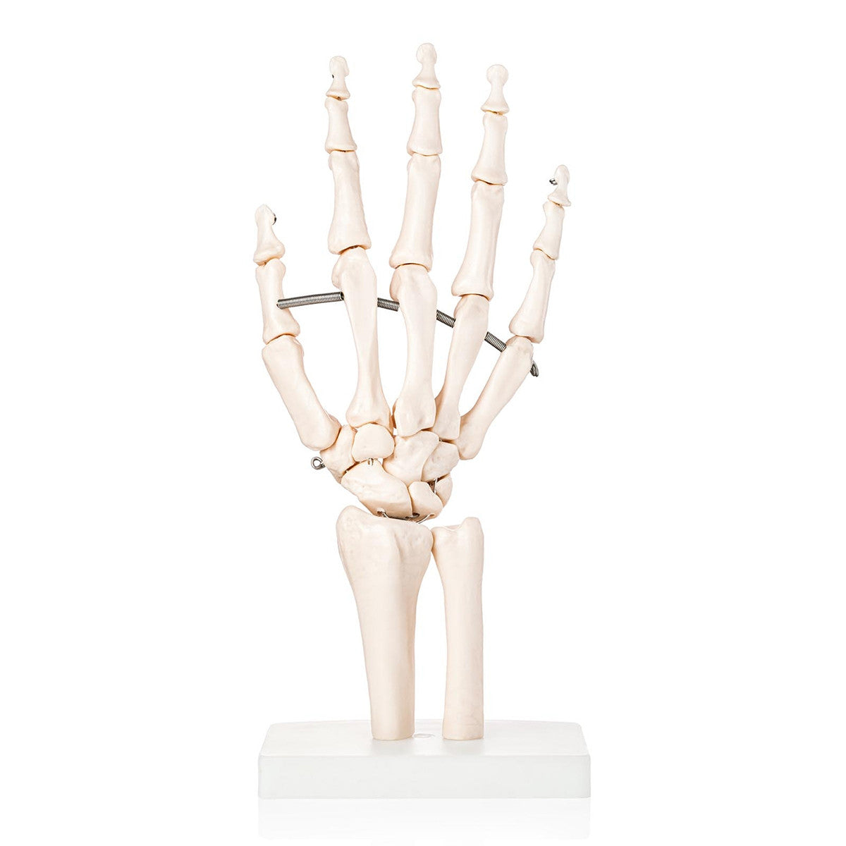 Orthopaedic Starter Pack Bundle