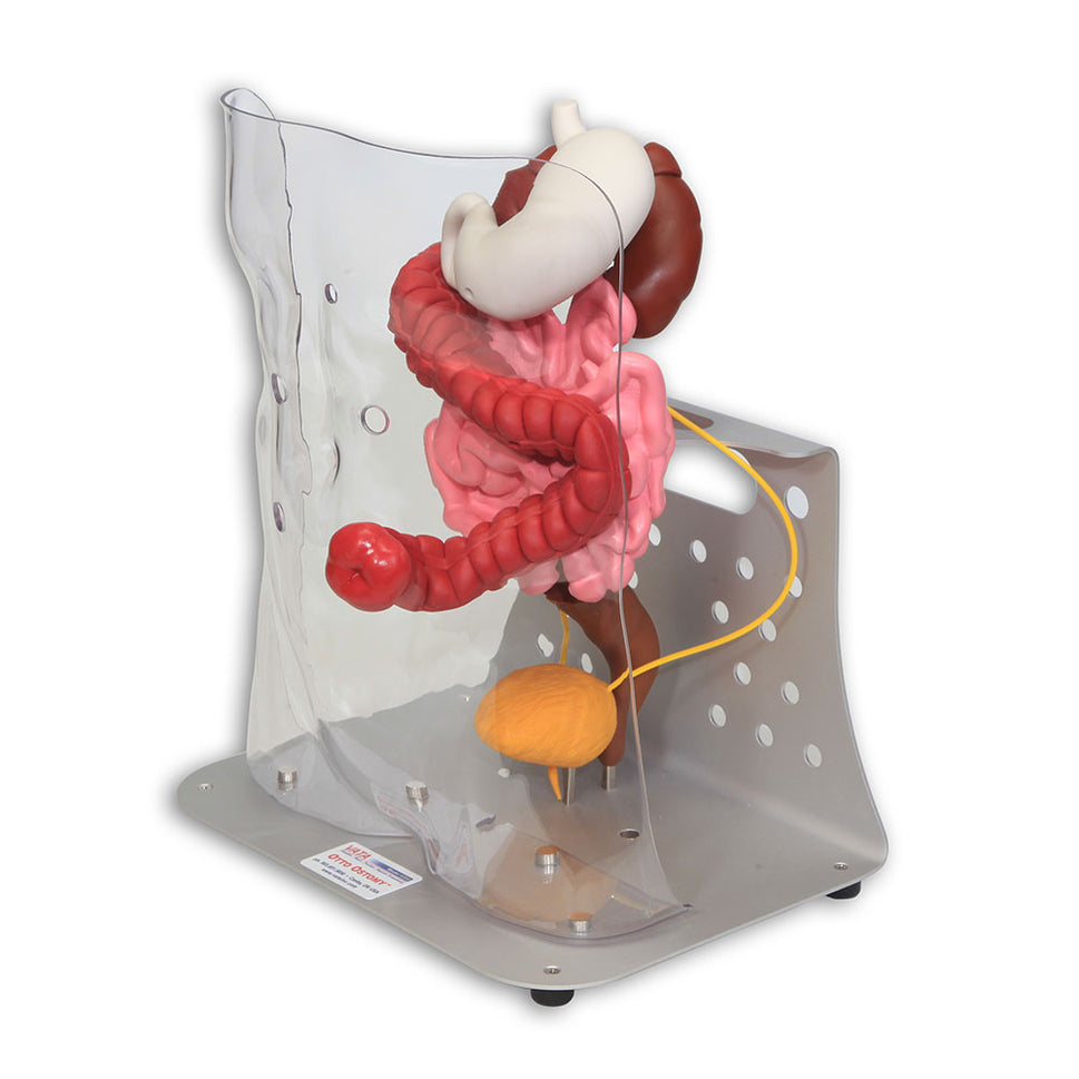 Otto Ostomy Advanced Model