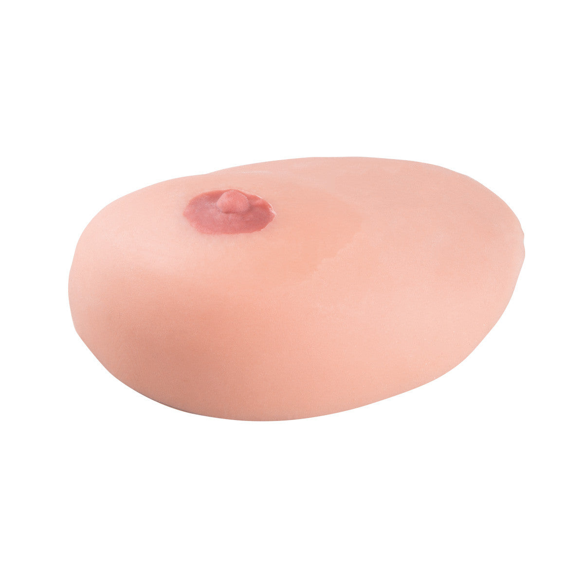 SONOtrain Ultrasound Breast Model with Cysts