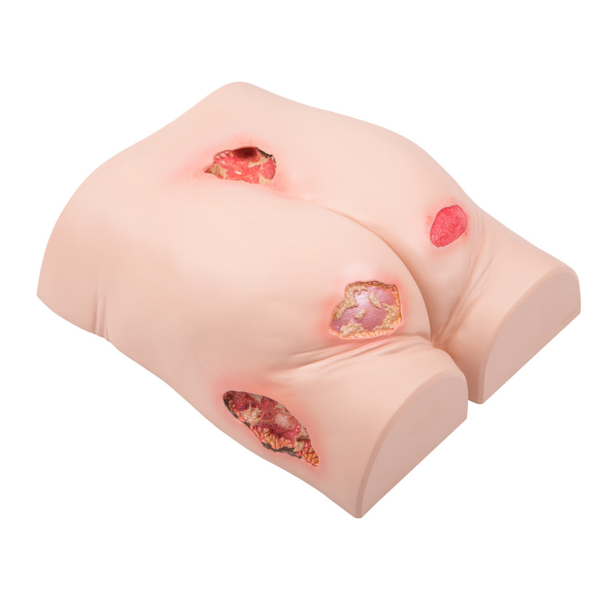 1019698 debubitus trainer