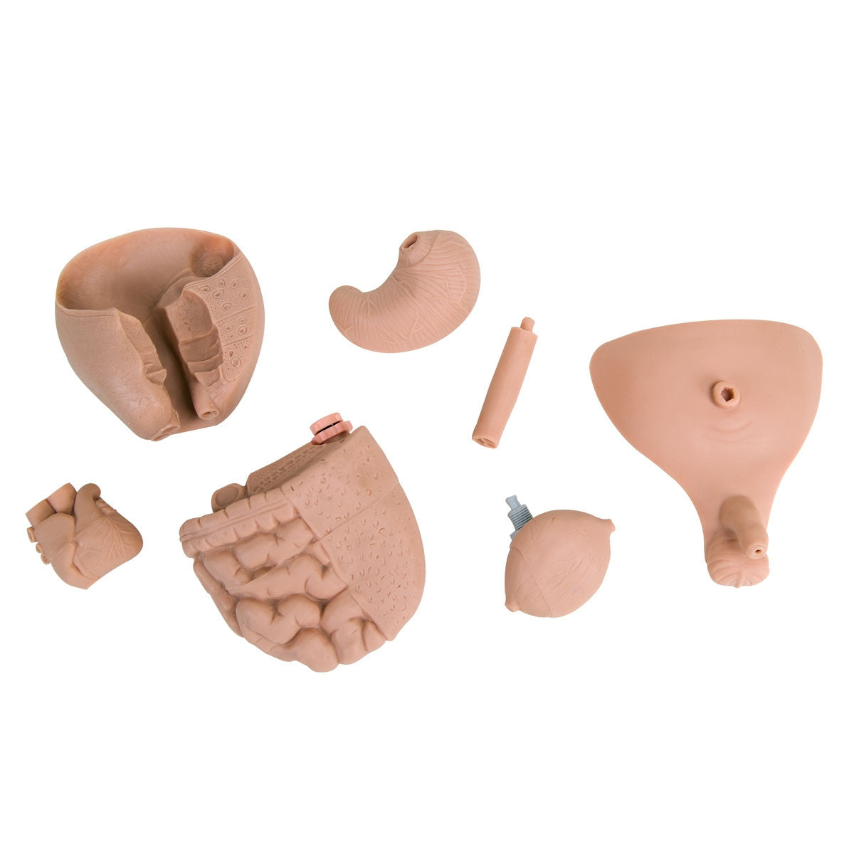 New Born Baby Nurse Training Manikin