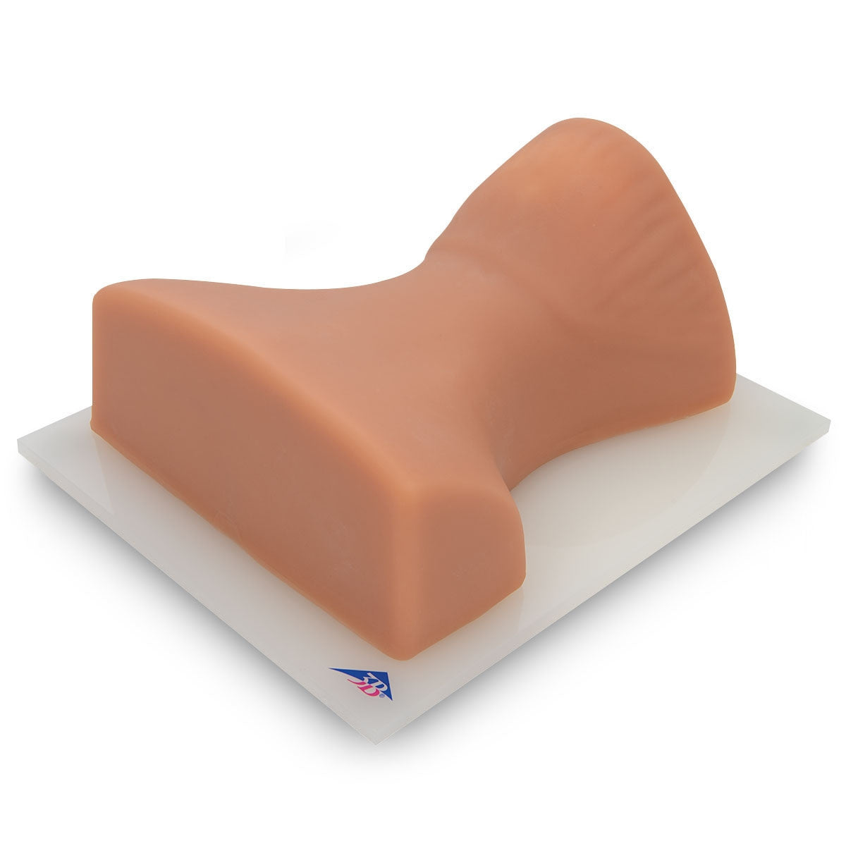 Image Guided Cervical Spinal Injection Trainer