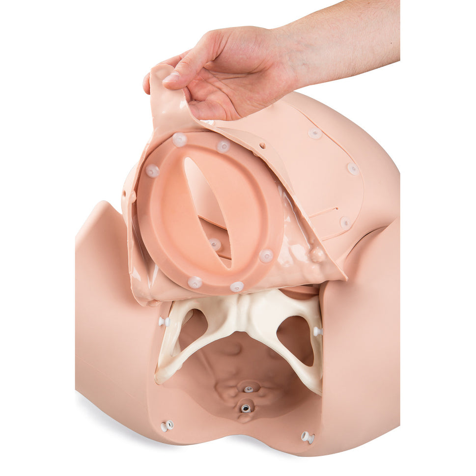 3B Birthing Simulator Pro