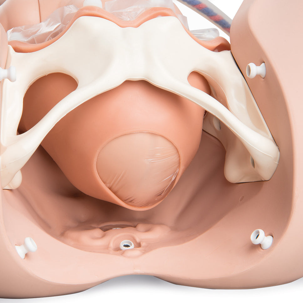 3B Birthing Simulator Pro