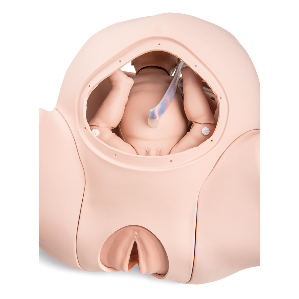 3B Birthing Simulator Pro