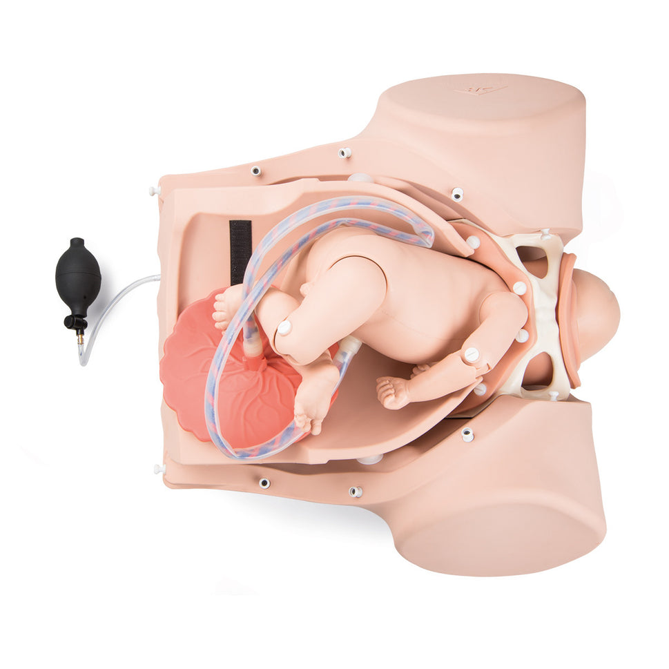 3B Birthing Simulator Pro