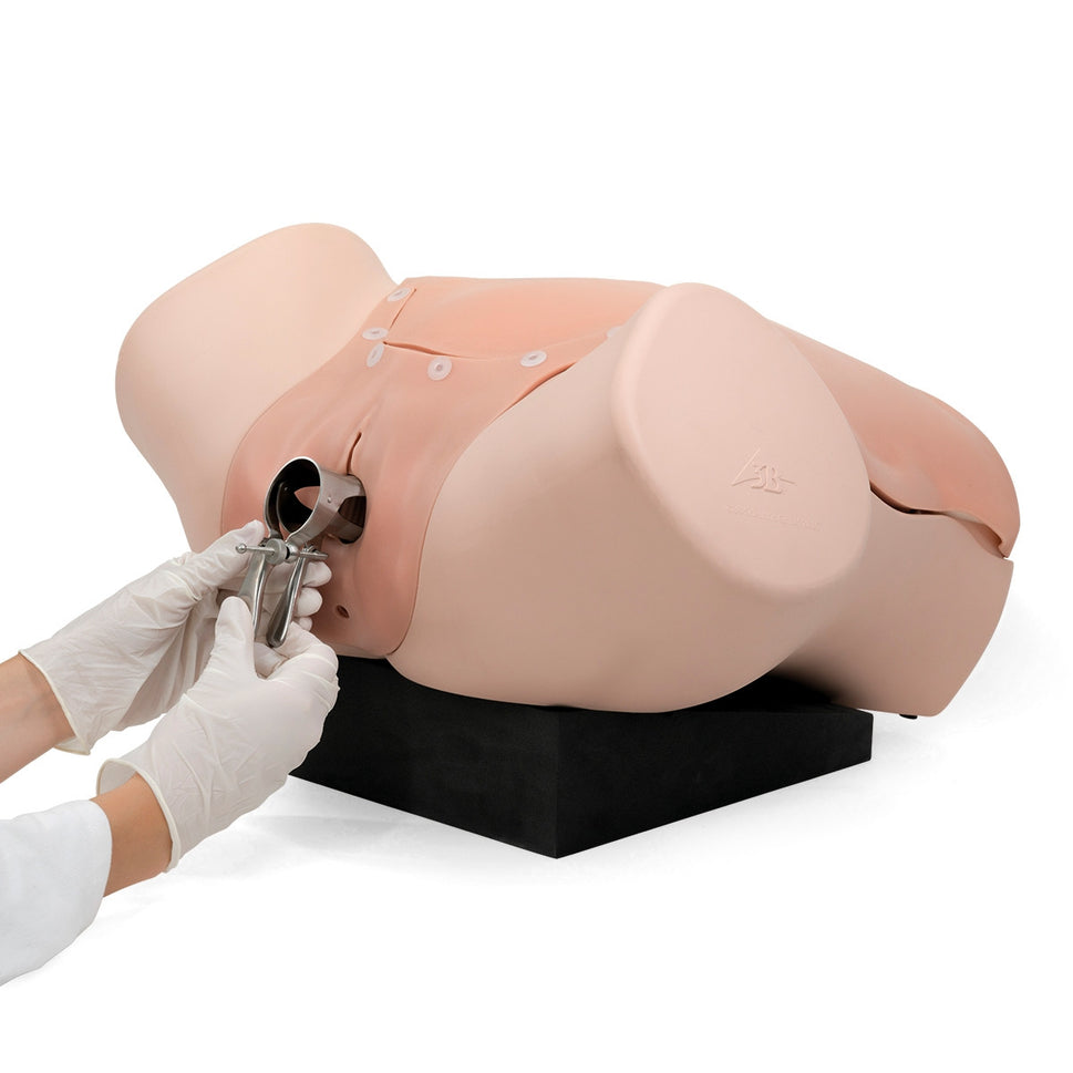 Gynaecological Skills Trainer