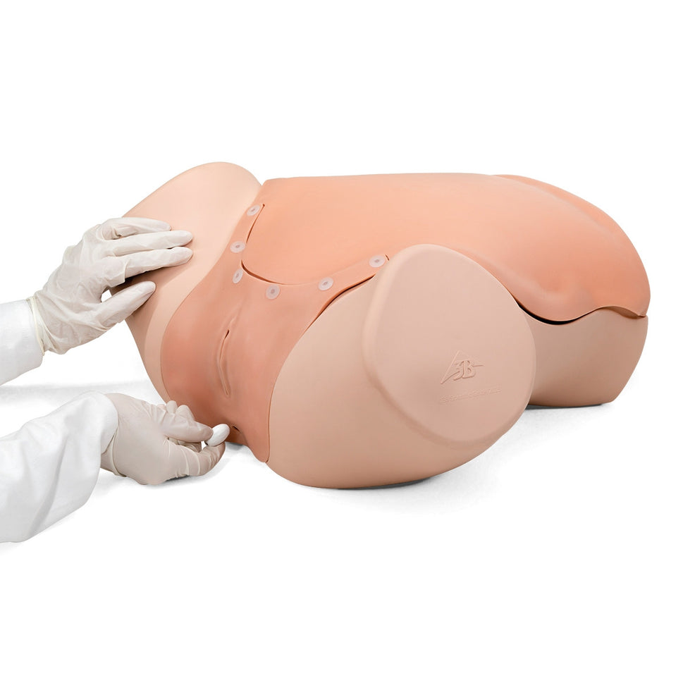 Gynaecological Skills Trainer