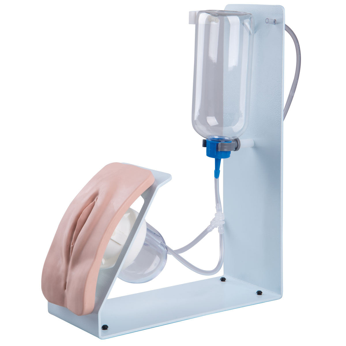 Catheterization Simulator BASIC (Female)