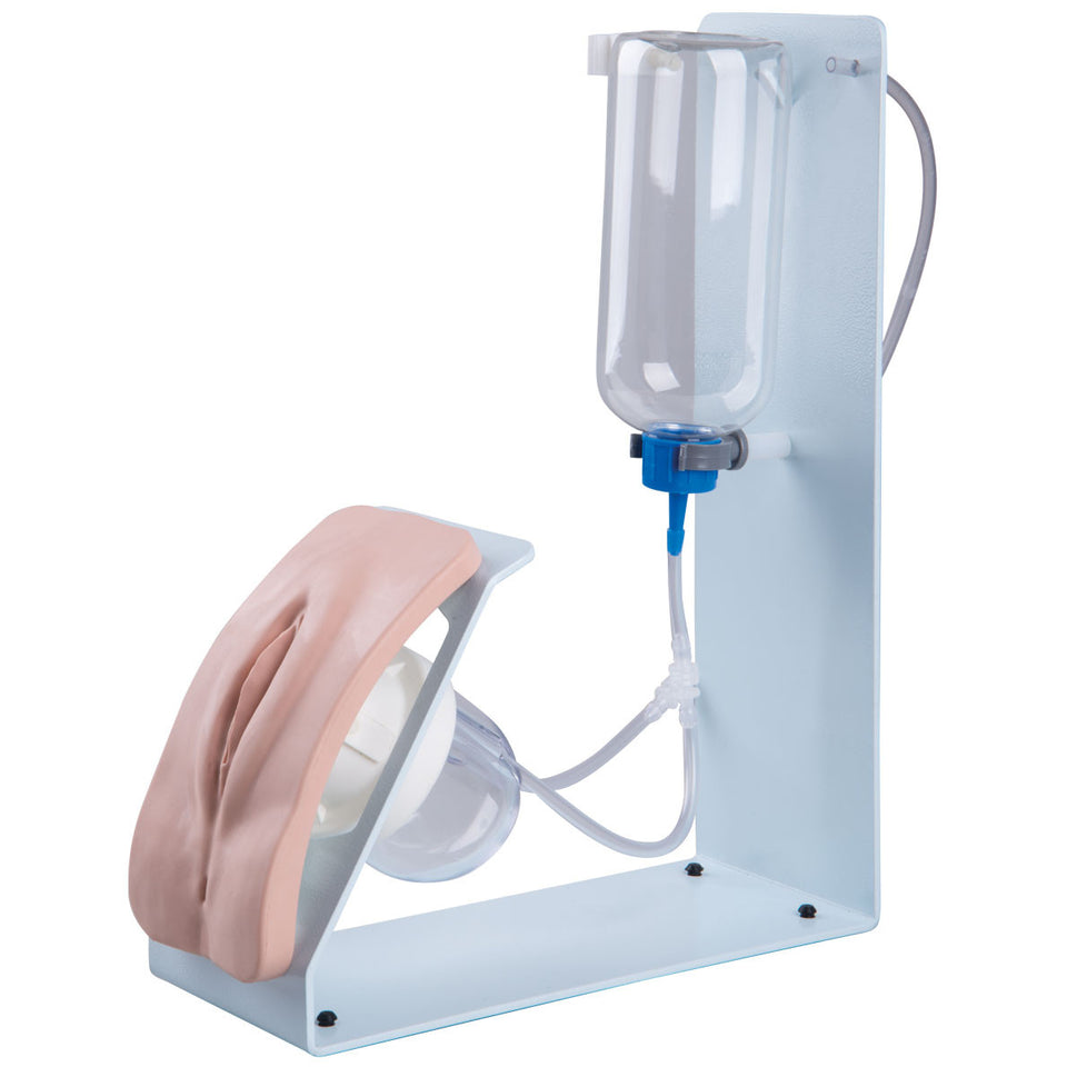 Catheterization Simulator BASIC (Female)