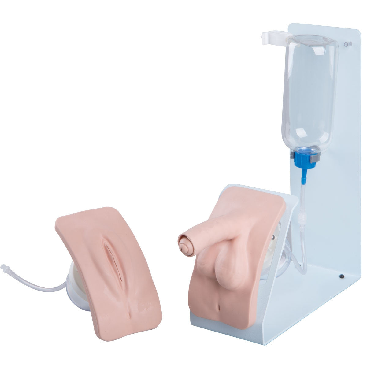 Catheterization Simulator BASIC Set (Male and Female) (Light)