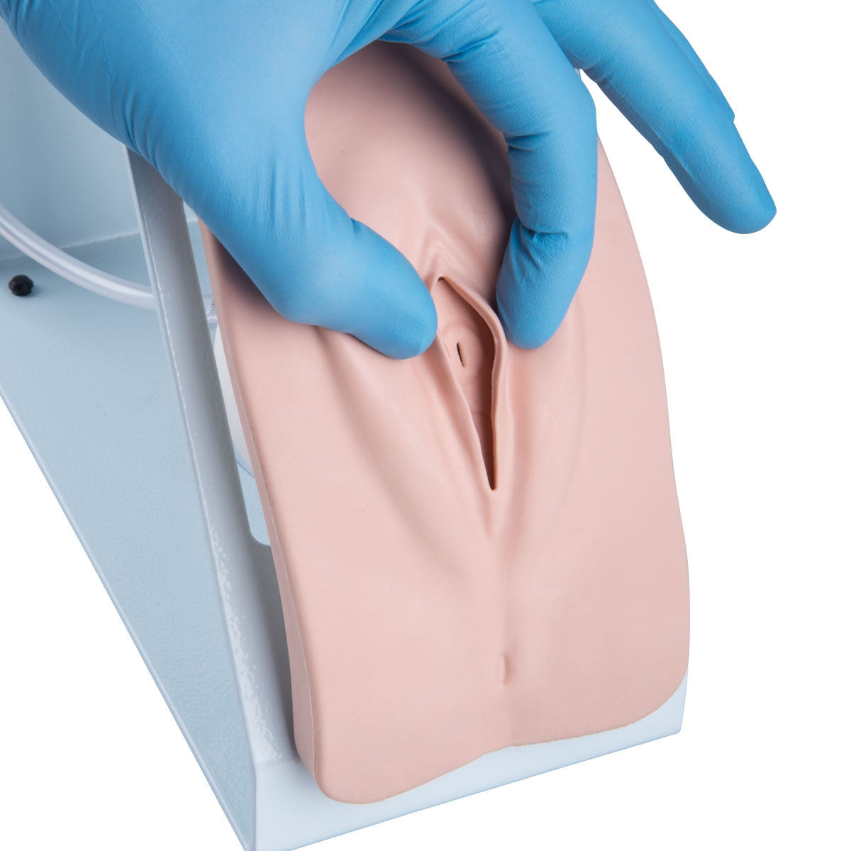 Catheterization Simulator BASIC Set (Male and Female)