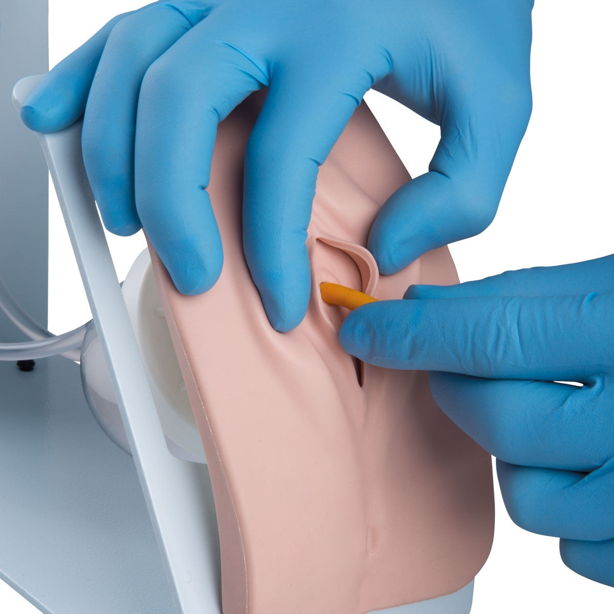 Catheterization Simulator BASIC Set (Male and Female) - Part of Collection