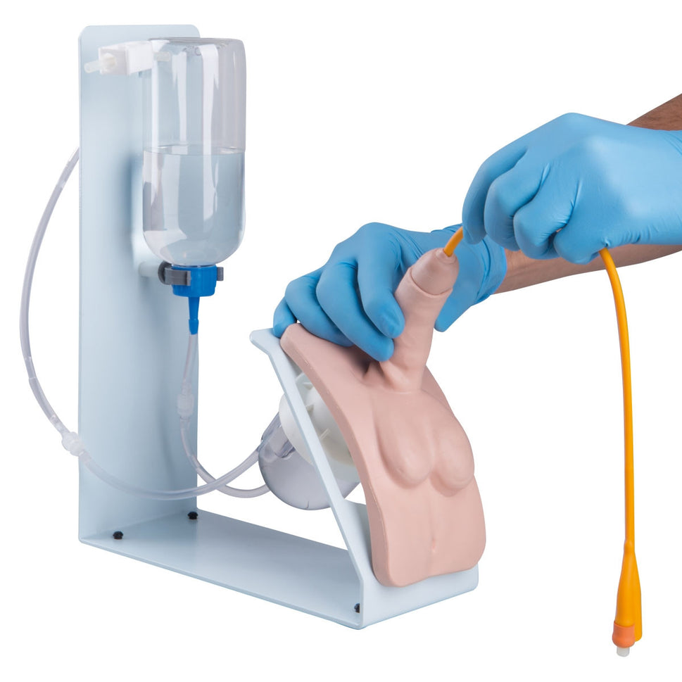 Catheterization Simulator BASIC Set (Male and Female)