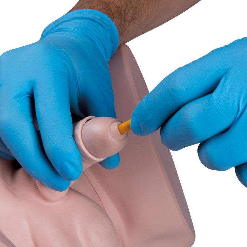 Catheterization Simulator PRO Set (Male and Female)