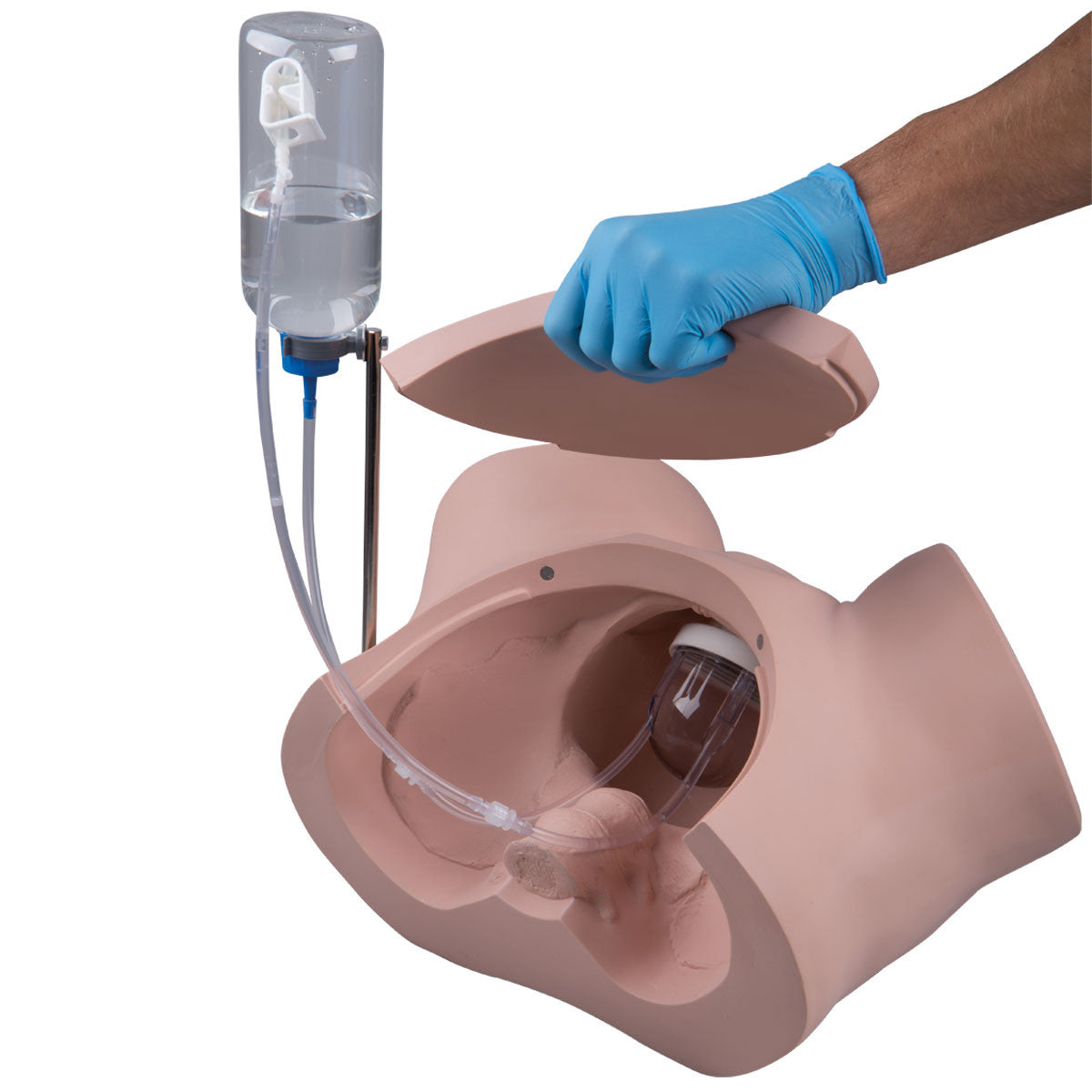 Catheterization Simulator PRO (Male)