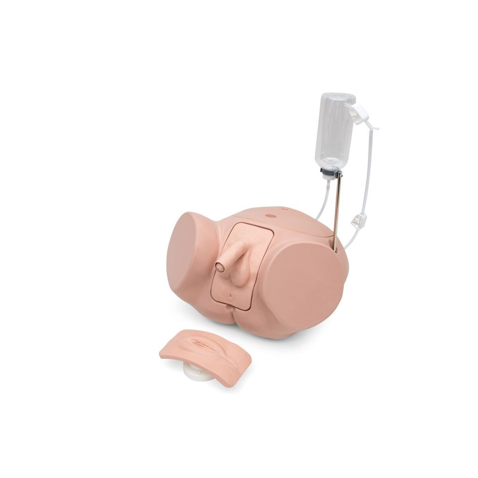 Catheterization Simulator PRO Set (Male and Female)