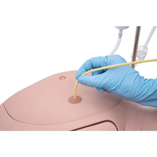 Catheterization Simulator PRO Set (Male and Female)