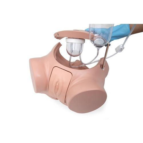 Catheterization Simulator PRO Set (Male and Female)