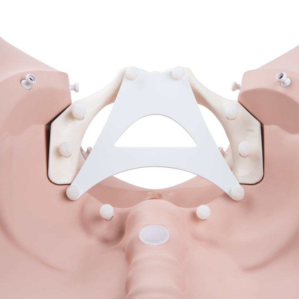 3B Birthing Stages Trainer