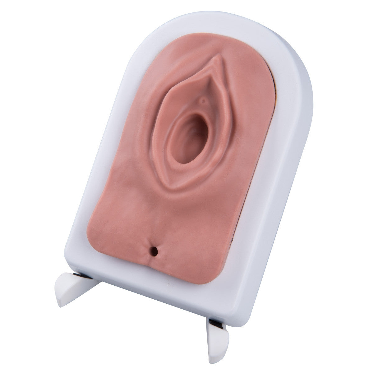 Episiotomy and Suturing Simulator P95 / 1019639