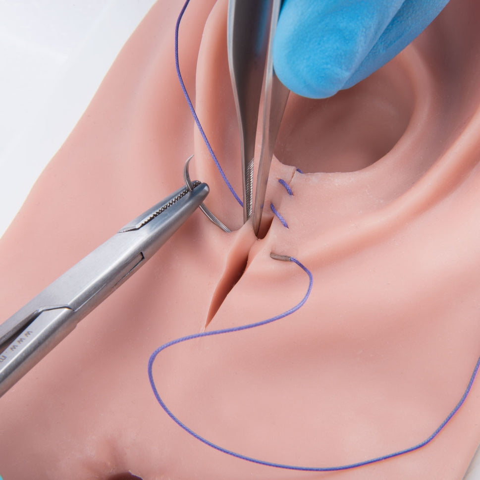 3B Episiotomy and Suturing Simulator
