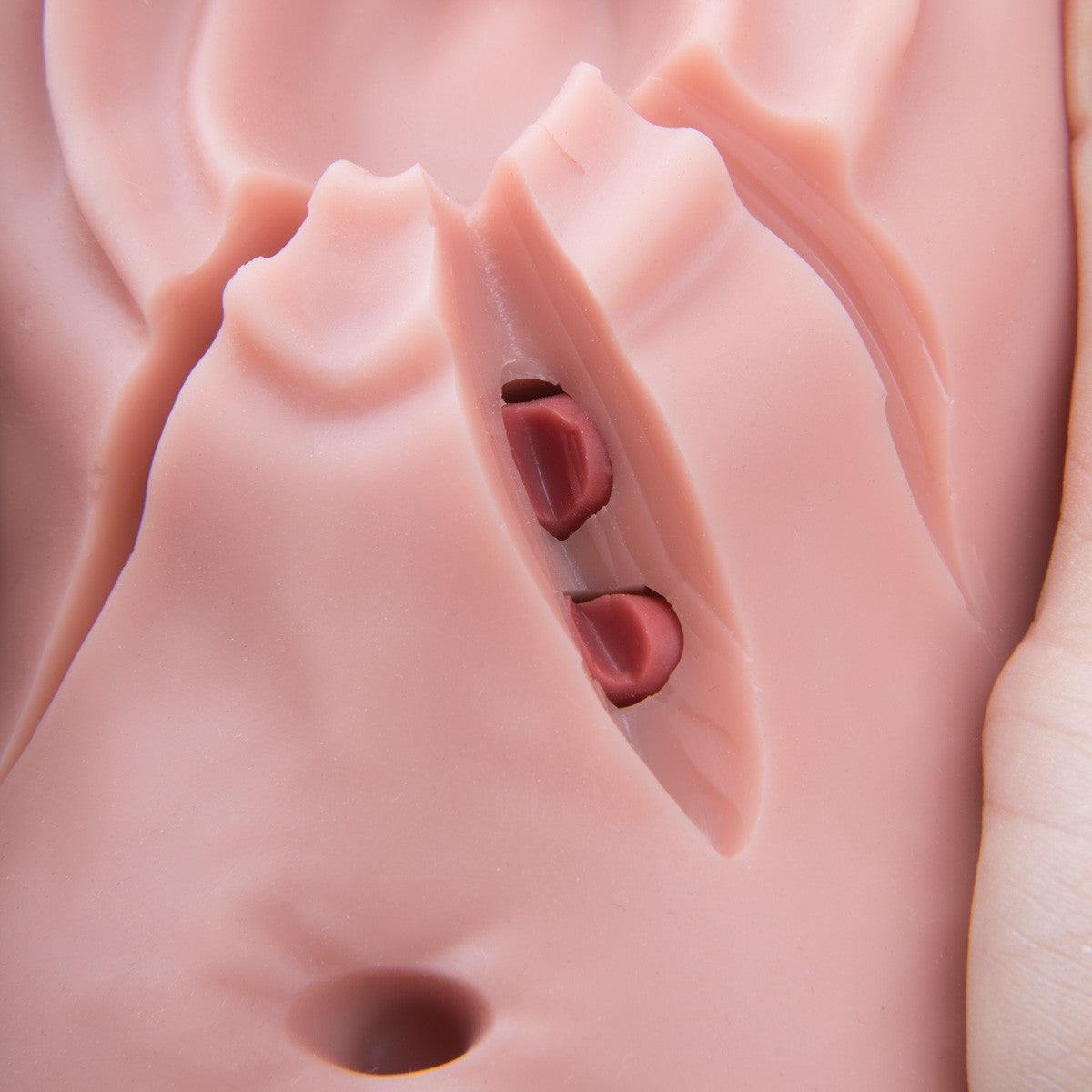 3B Episiotomy and Suturing Simulator