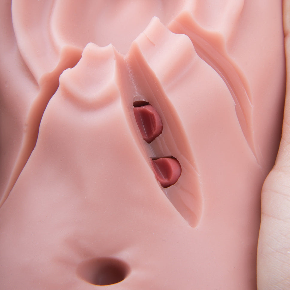 3B Episiotomy and Suturing Simulator