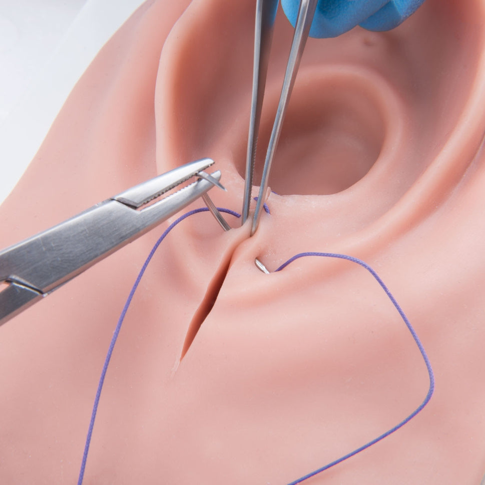 3B Episiotomy and Suturing Simulator