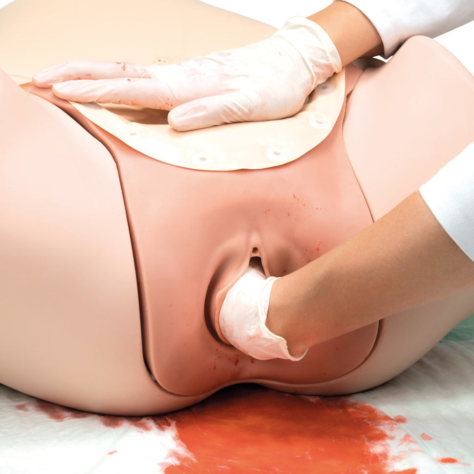 Postpartum Hemorrhage (PPH) Trainer