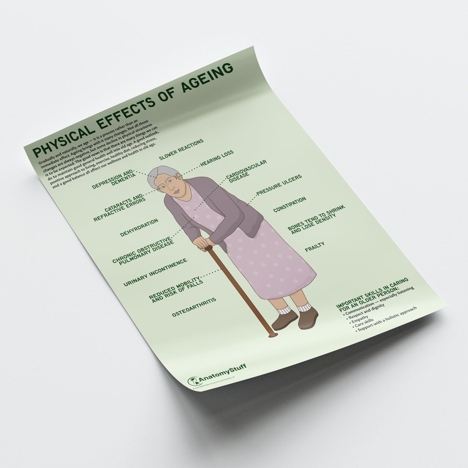 Physical Effects Of Ageing Chart / Poster - Part of Collection