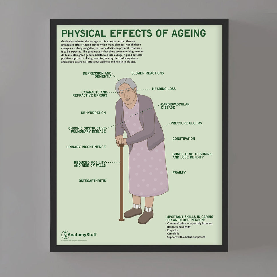 Physical Effects Of Ageing Chart / Poster