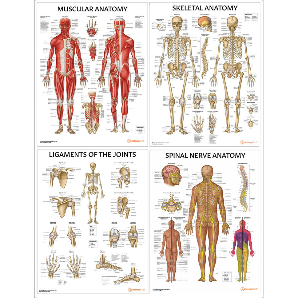 Physiotherapy 10 Poster Collection