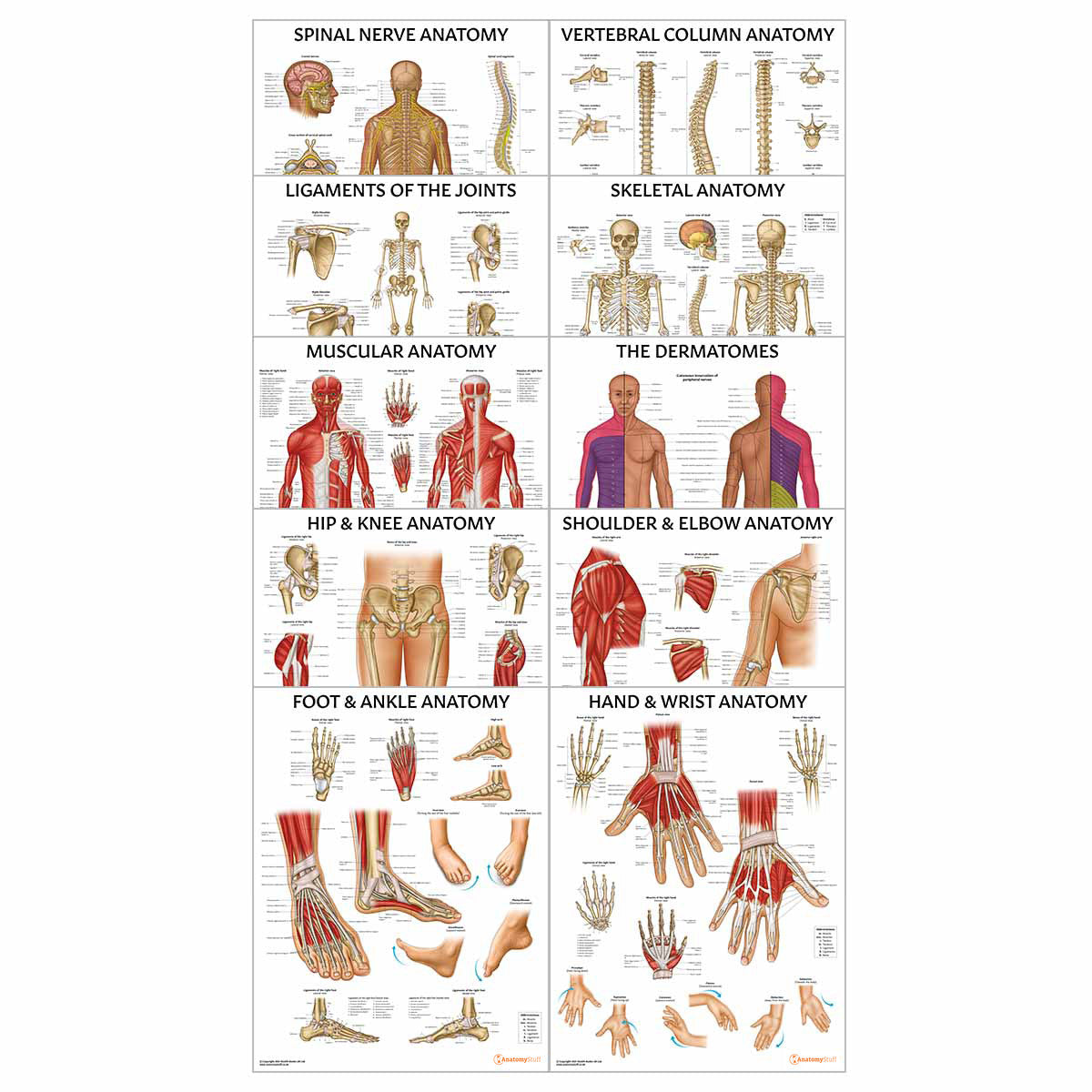 Physiotherapy 10 Poster Collection