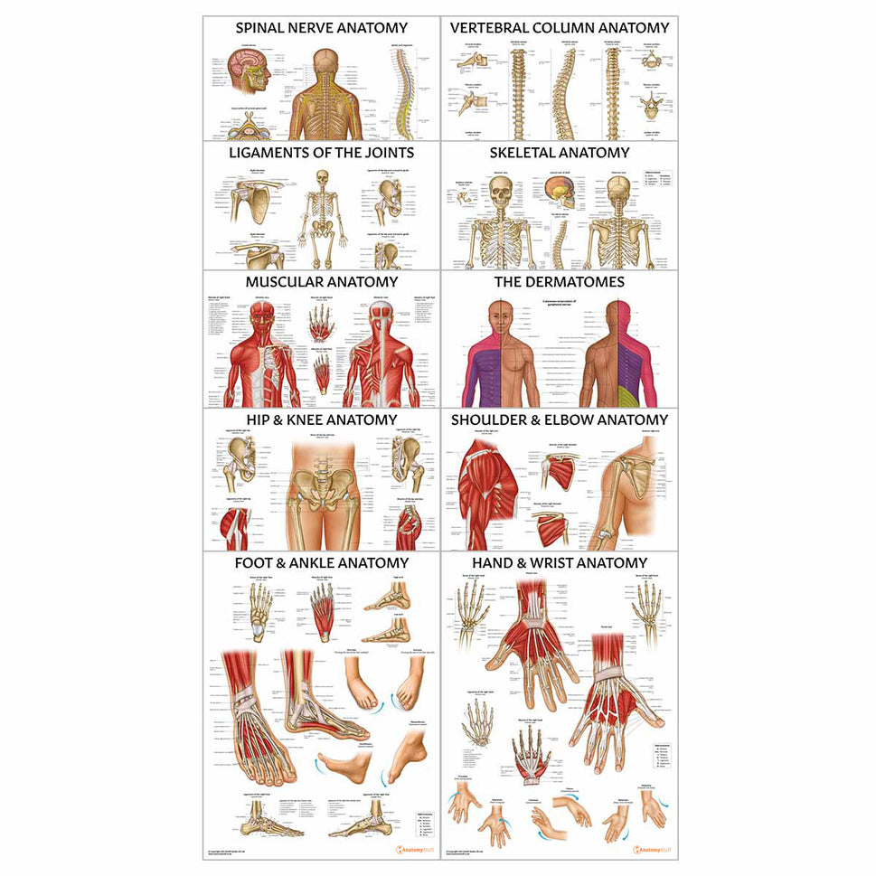 Physiotherapy 10 Poster Collection
